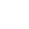 Icon Projekte weiss